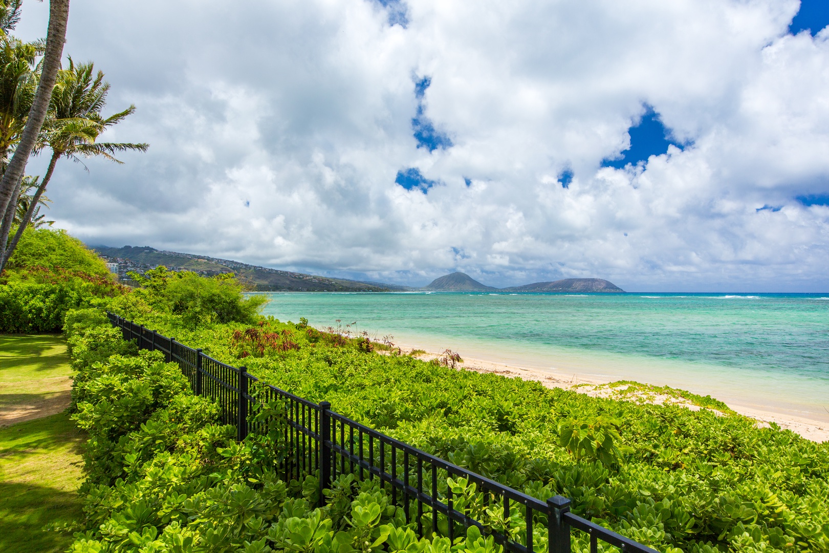 Honolulu Vacation Rentals, Kahala Mini Resort (5BR) - Kahala Beach unrolls just past the property's edge, coastline curving toward the horizon.