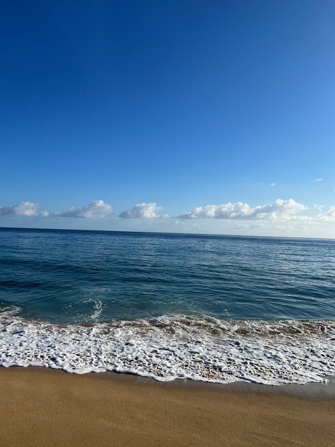 Hanalei Vacation Rentals, Hale Kepuhi - Spend the day by the ocean and enjoy the calming sound of waves along the coastline.