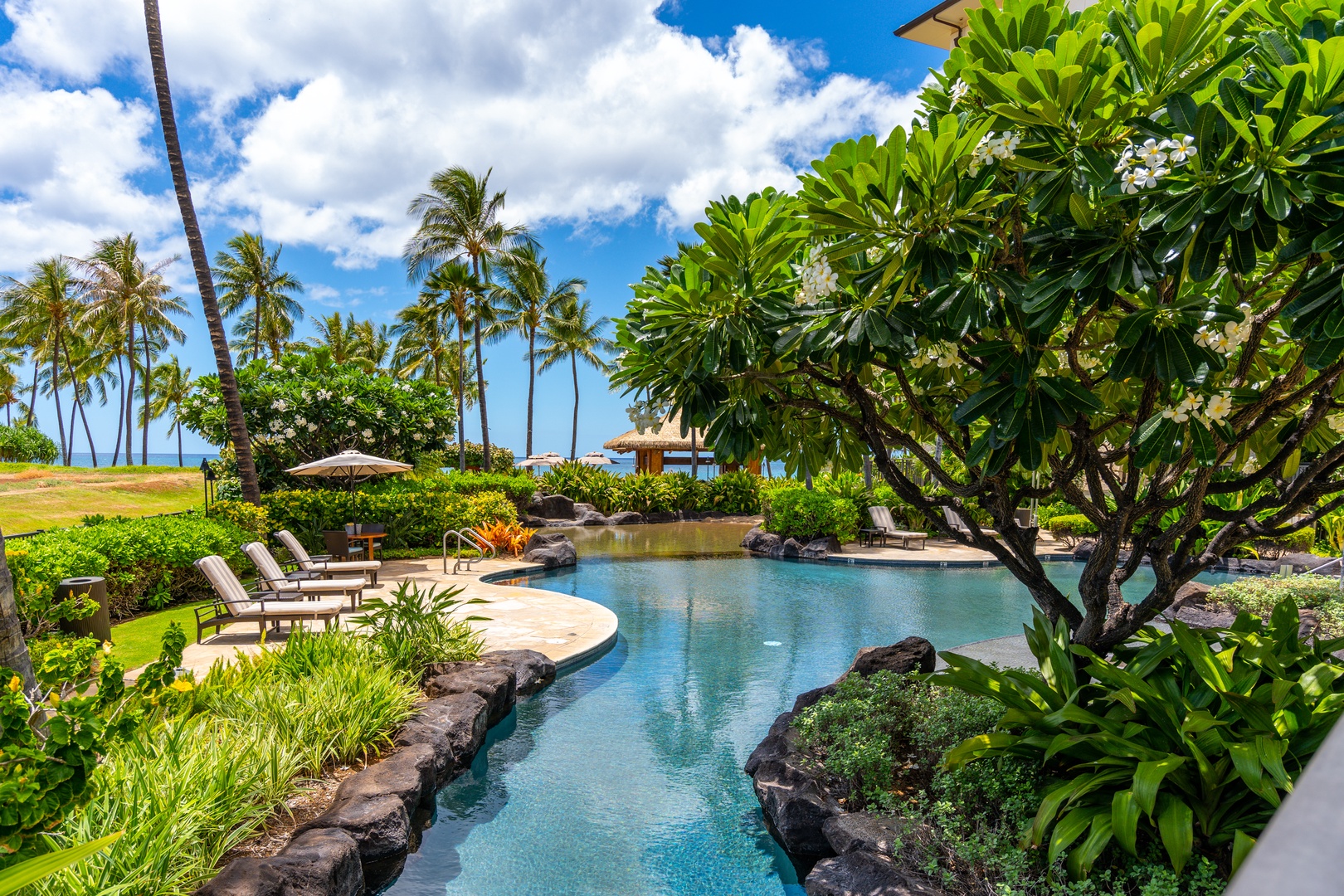 A garden pool that opens toward the palms and the ocean past them.