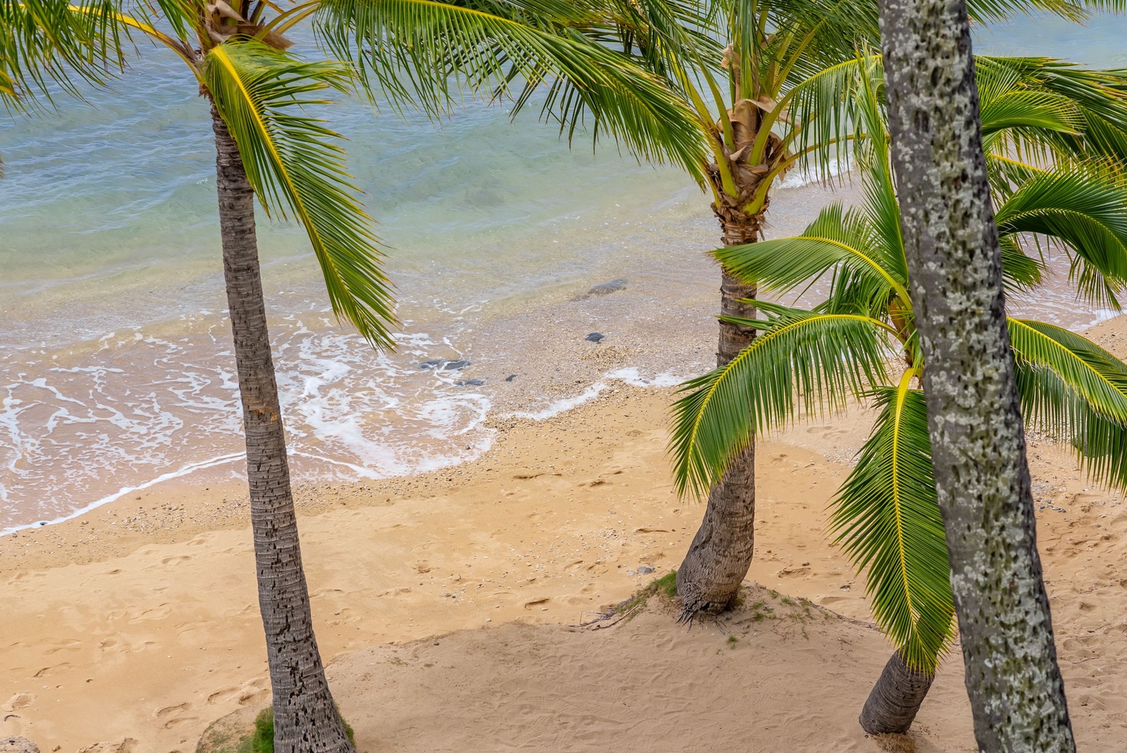 Honolulu Vacation Rentals, Kahala Oasis - Serene beach lined with palm trees and gentle waves, perfect for relaxing or a leisurely stroll.