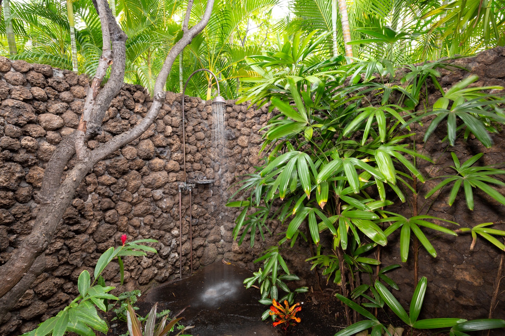 Kailua Kona Vacation Rentals, 4BD Hainoa Estate (102) at Hualalai Resort - Lush shower garden, exclusive to the third bedroom