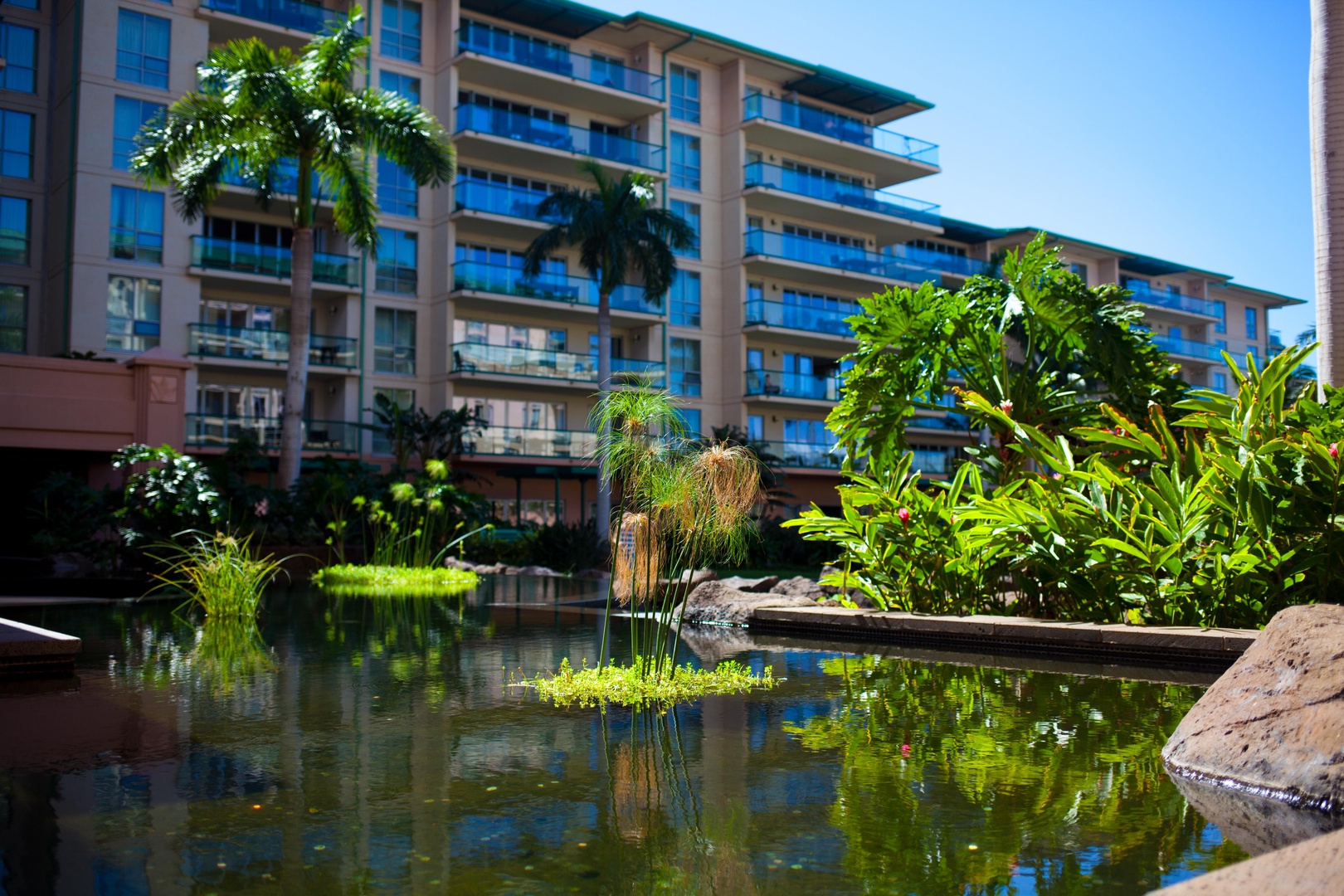 Lahaina Vacation Rentals, Honua Kai Konea 204 - Take in the peaceful vibes by the resort's lush pond, perfect for a moment of relaxation.