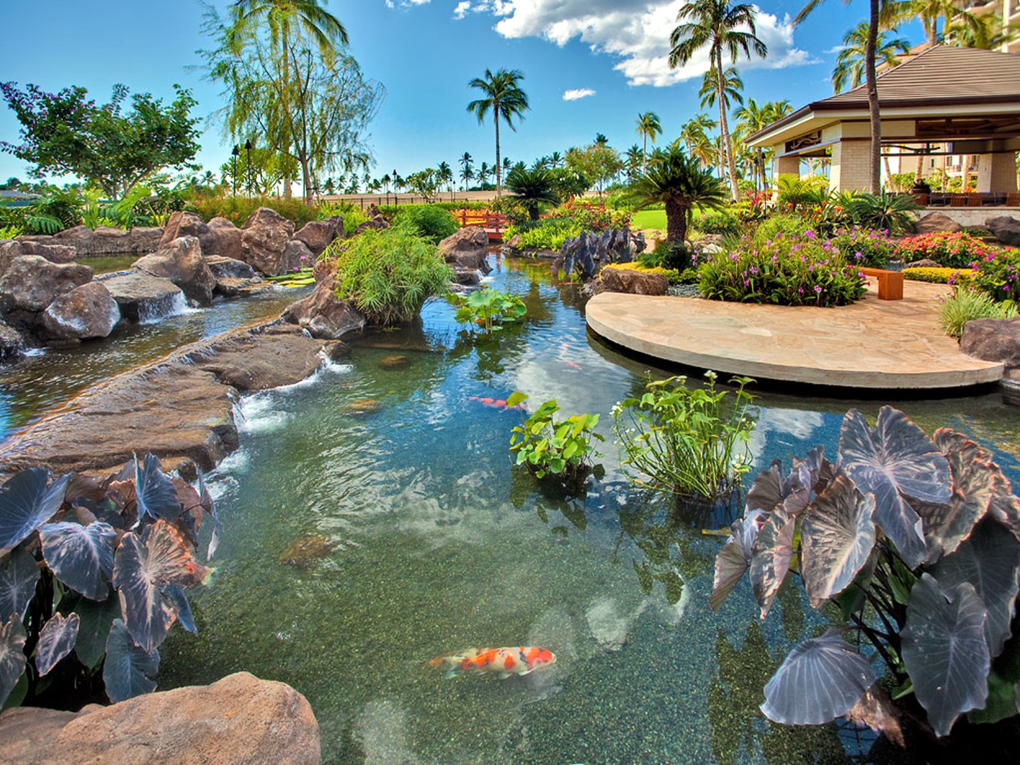 Kapolei Vacation Rentals, Ko Olina Beach Villas O1004 - The Koi Pond just outside the lobby.