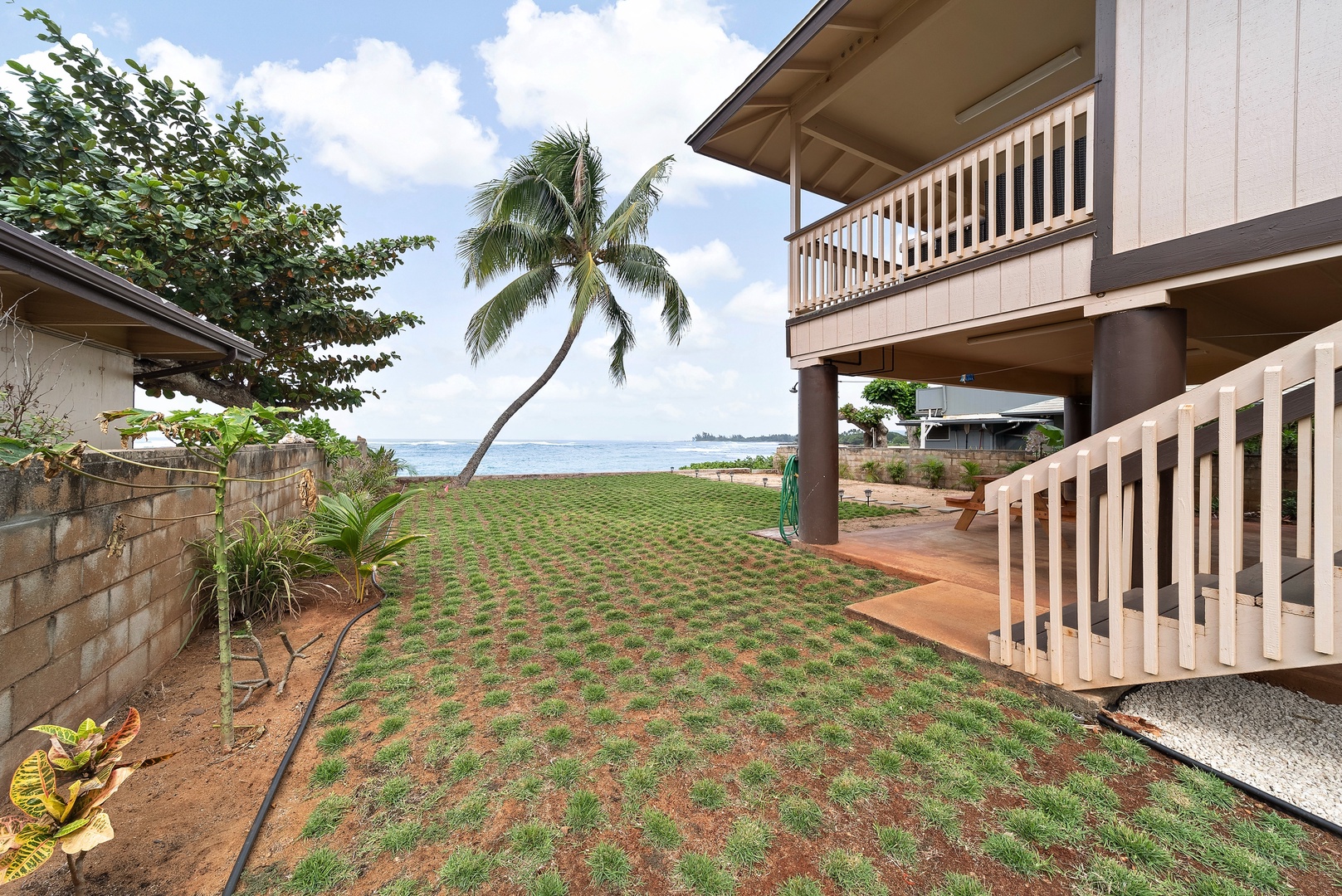 Haleiwa Vacation Rentals, Pikai Hale - Tropical landscaping in the making