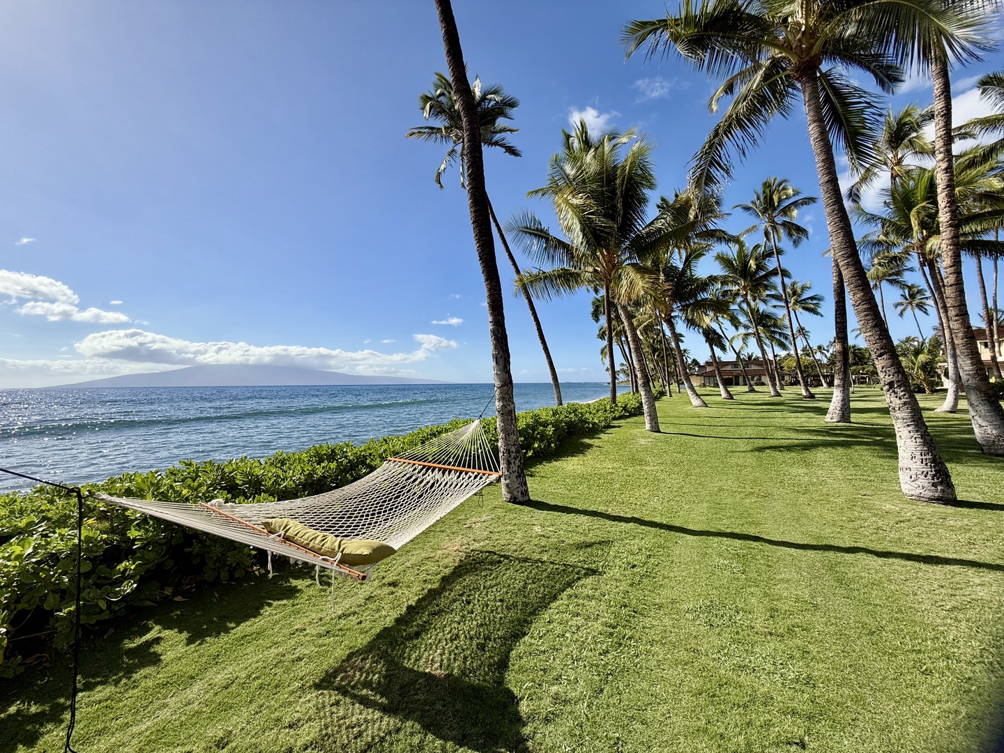 Lahaina Vacation Rentals, Puamana 254-2 - Oceanfront hammock under swaying palms—relax, unwind, and enjoy the gentle sea breeze in this slice of paradise.