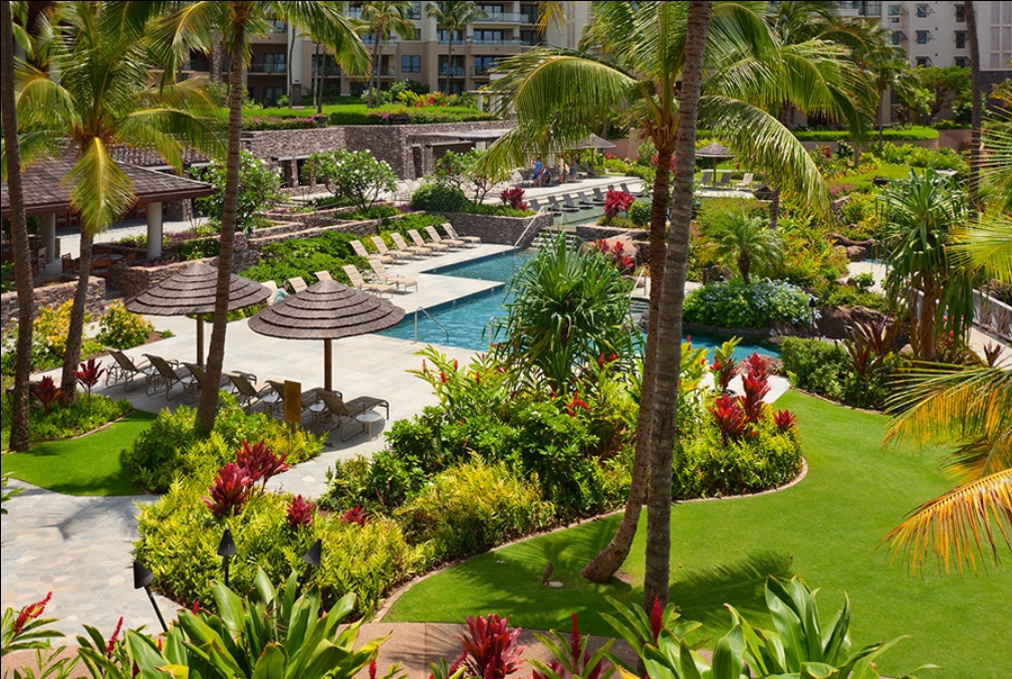 Kapalua Vacation Rentals, Ocean Dreams Premier Ocean Grand Residence 2203 at Montage Kapalua Bay* - Overlooking the Swimming Pools From Ocean Dreams 2203