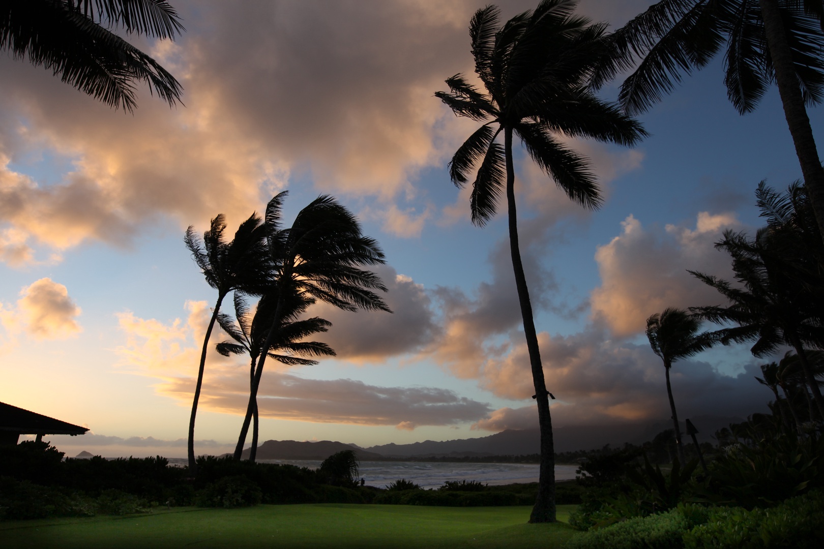 Kailua Vacation Rentals, Paradise Pointe Estates* - Trees swaying overlooking Kailua Beach