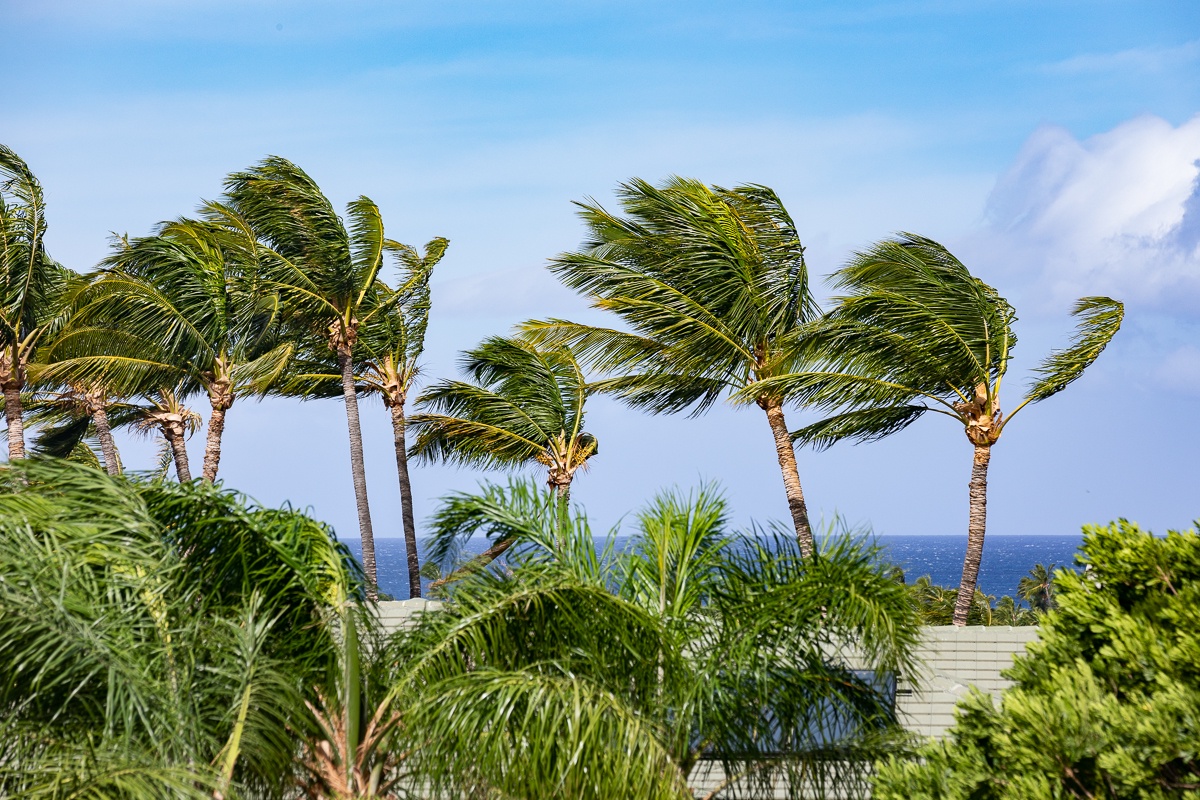 Kamuela Vacation Rentals, Beach Walker at Champion Ridge - Views