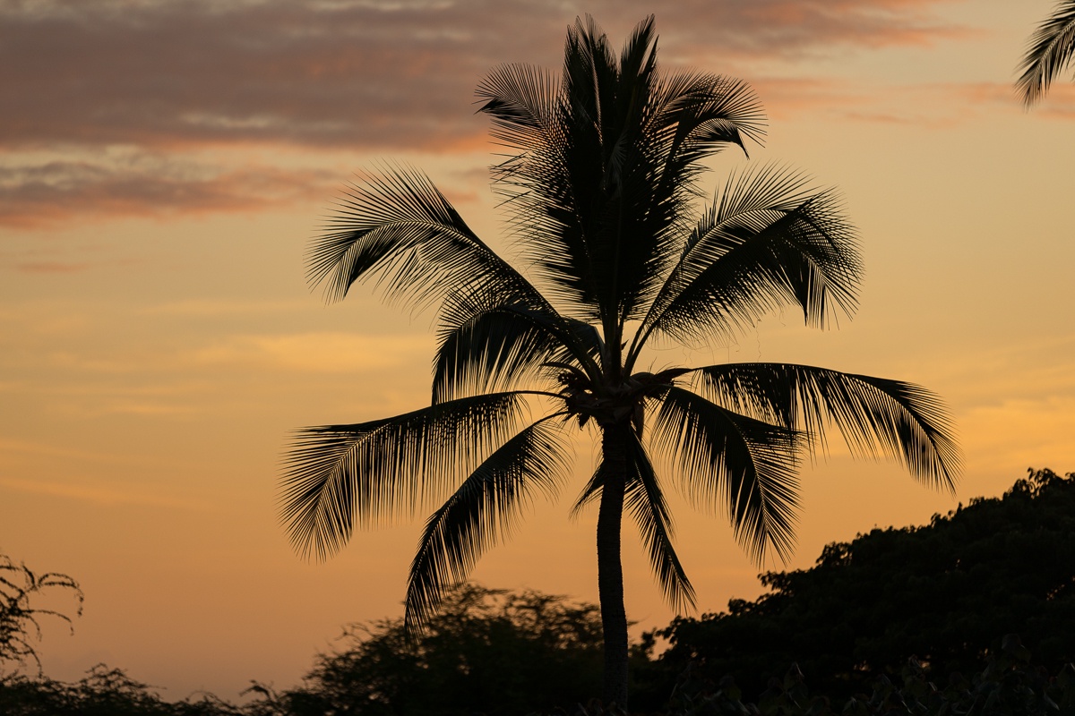Kailua Kona Vacation Rentals, Island Time - Holua Kai - Sunset in paradise