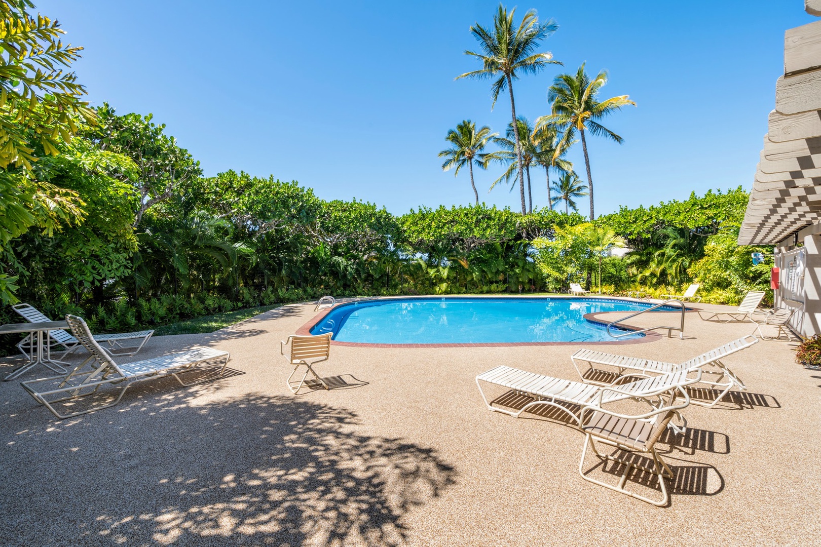 Kihei Vacation Rentals, Wailea Ekolu 204 - Loop back to the pool after the beach, and there's always a lounge chair open under the coconut palms.