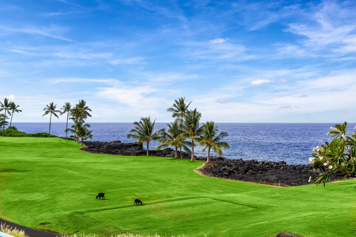 Kailua Kona Vacation Rentals, Holua Kai #32 - Kona Country Club Golf Course boarding Holua Kai