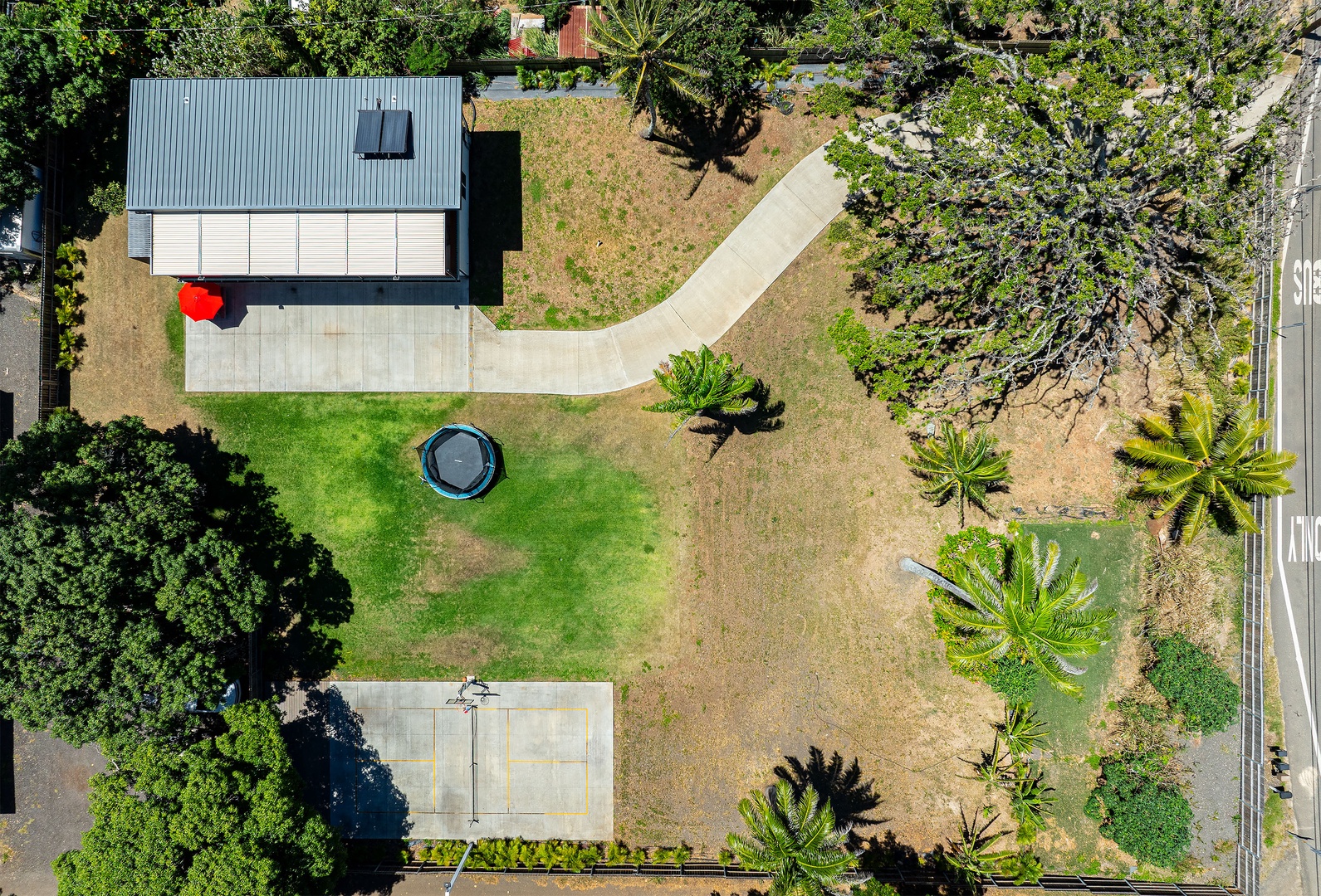 Haleiwa Vacation Rentals, Sunset Beach Island Retreat - Explore this beautifully landscaped yard, a serene space perfect for outdoor activities