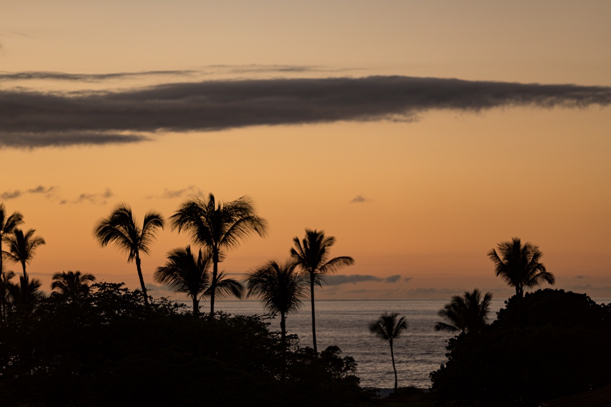 Kamuela Vacation Rentals, Artevilla- Hawaii* - Let the island work its magic on you