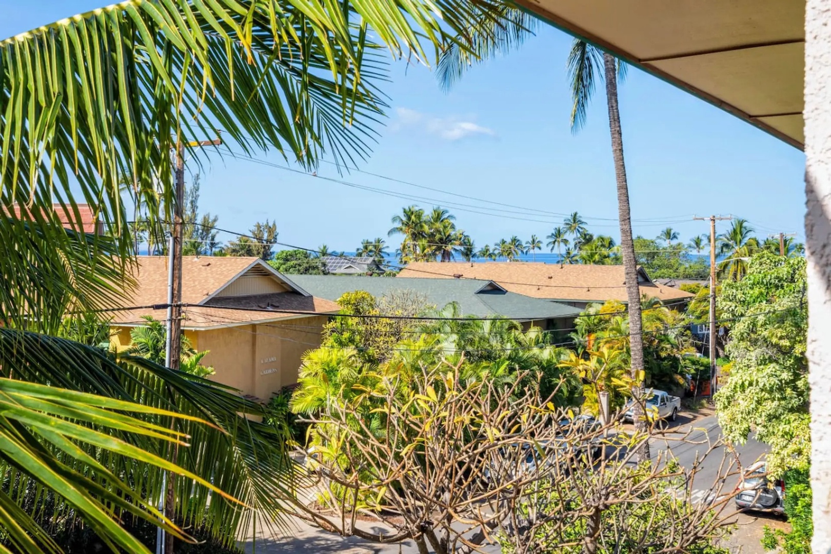 Kihei Vacation Rentals, Kalama Terrace P302 - From the lanai, the palm fronds part just enough to catch a sliver of ocean past the rooftops.