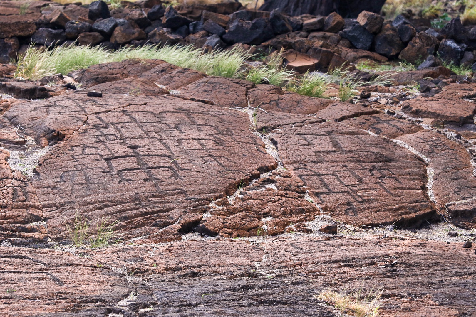 Kamuela Vacation Rentals, Palm Villas E1 - Fascinating & Ancient Petroglyphs on Nearby Trails