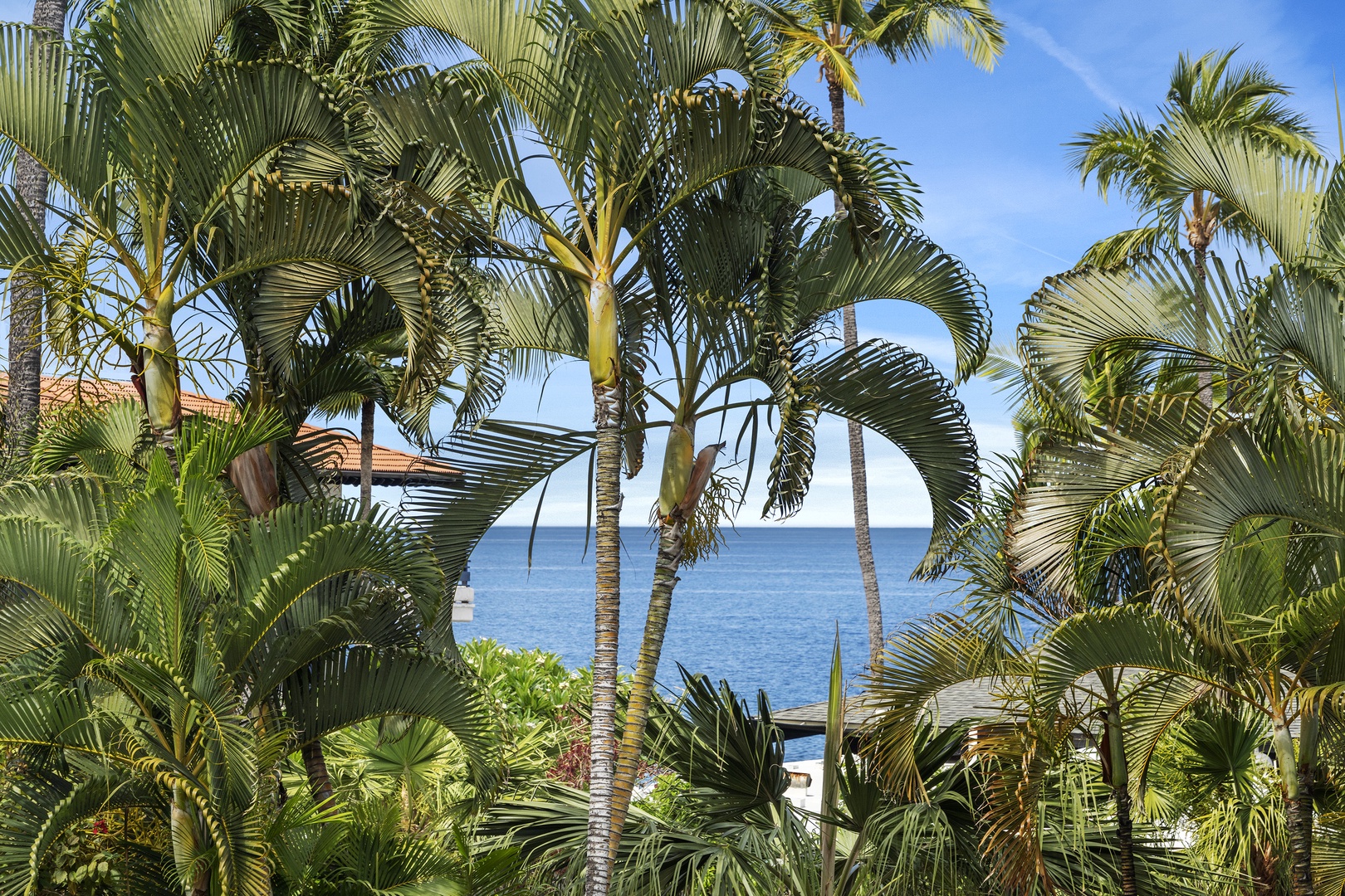 Kailua Kona Vacation Rentals, Casa De Emdeko 222 - Zoomed view from the Lanai