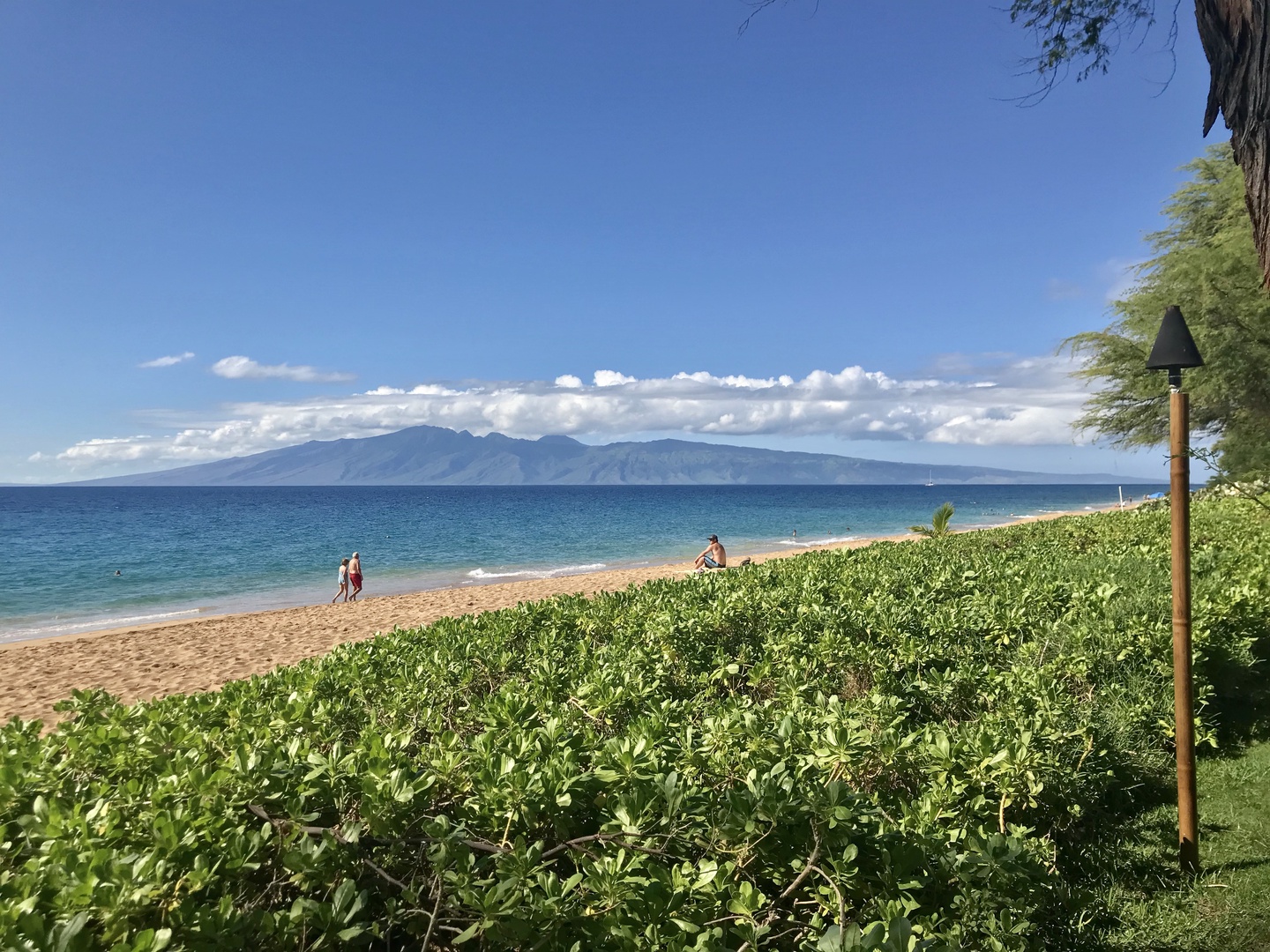 Lahaina Vacation Rentals, Maui Kaanapali Villas 292 - Tiki torches line the large grassy area just before the beautiful beach in front of the pool at MKV