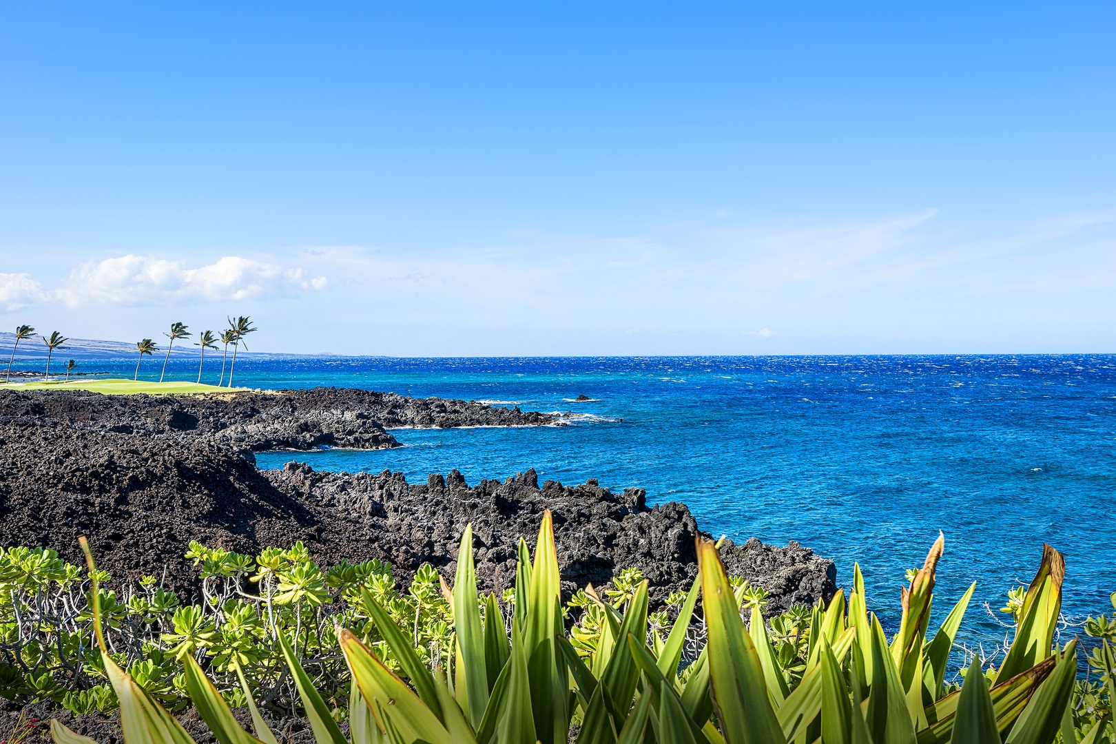 Waikoloa Vacation Rentals, Hali'i Kai at Waikoloa Beach Resort 9F - Go for a stroll along the waters edge!