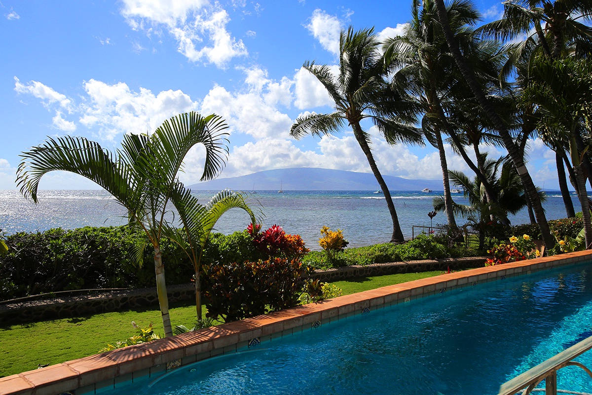 Lahaina Vacation Rentals, Blue Sky Villa* - Palm trees, ocean and sky.