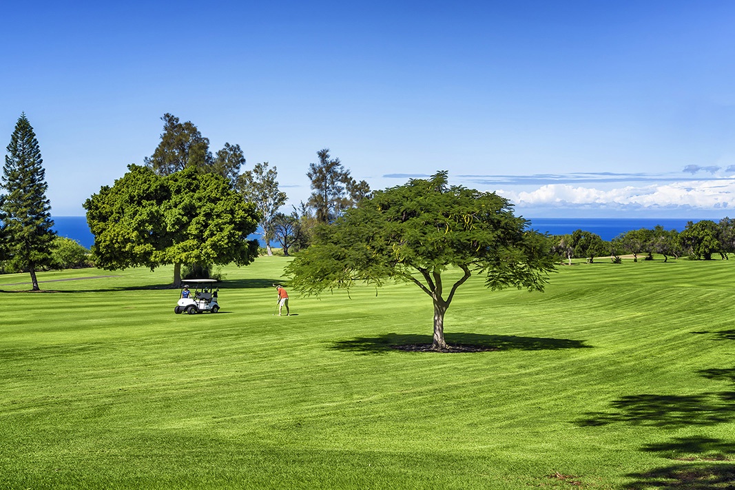 Waikoloa Vacation Rentals, Waikoloa Villas F-100 - Trent Jones golf course right in front of the condo!