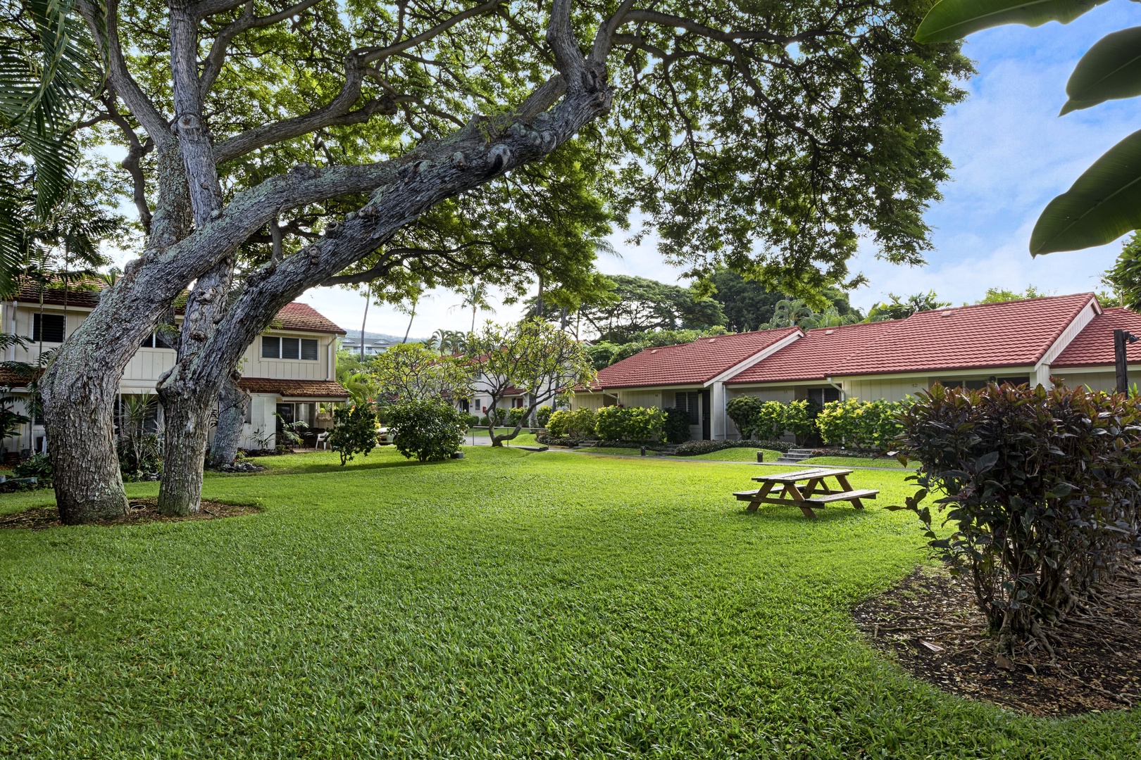 Kailua Kona Vacation Rentals, Keauhou Kona Surf & Racquet 2101 - njoy a serene picnic surrounded by lush greenery in our beautifully manicured grass front.