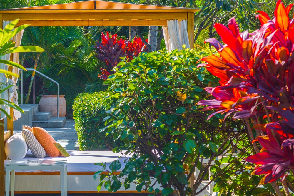 Kapalua Vacation Rentals, Ocean Dreams Villa 2203 at Montage Kapalua Bay* - Mature Florals and Fauna Throughout