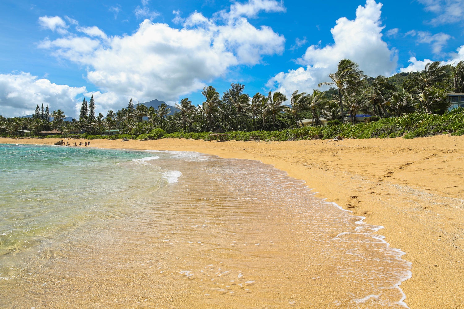 Hanalei Vacation Rentals, Hallor House TVNC #5147 - Tunnels beach