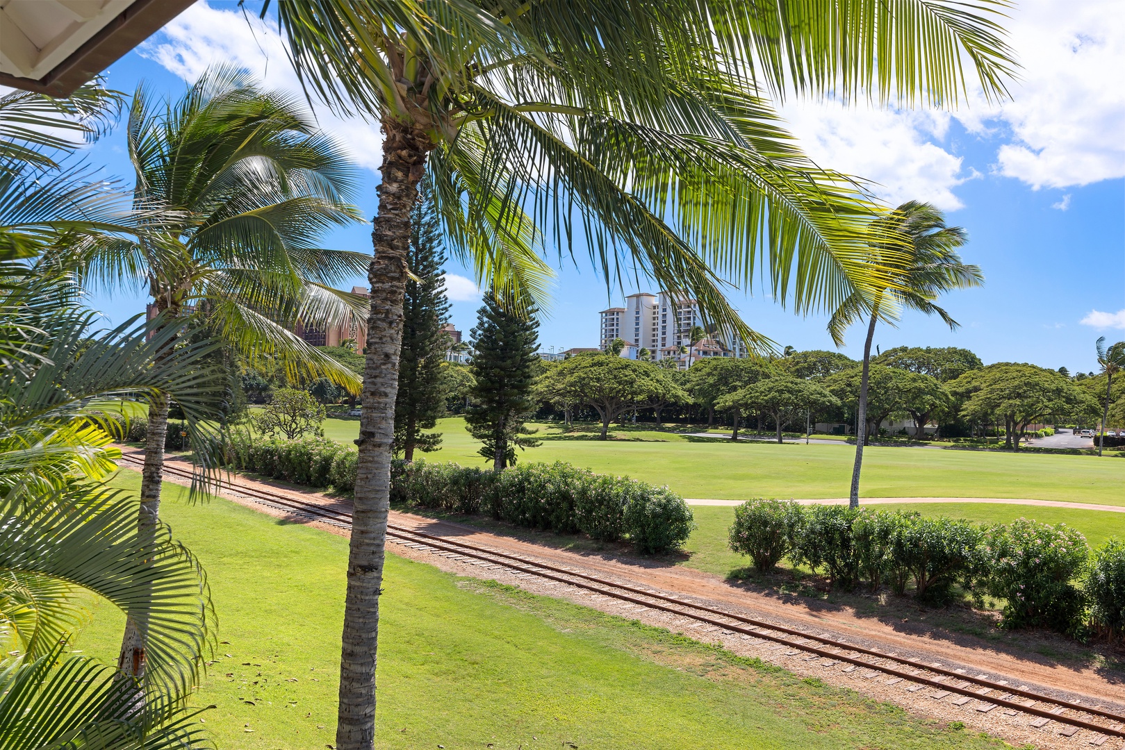 Tropical paradise setting with lush palm trees, manicured gardens, and distant city buildings creating a perfect island getaway atmosphere.