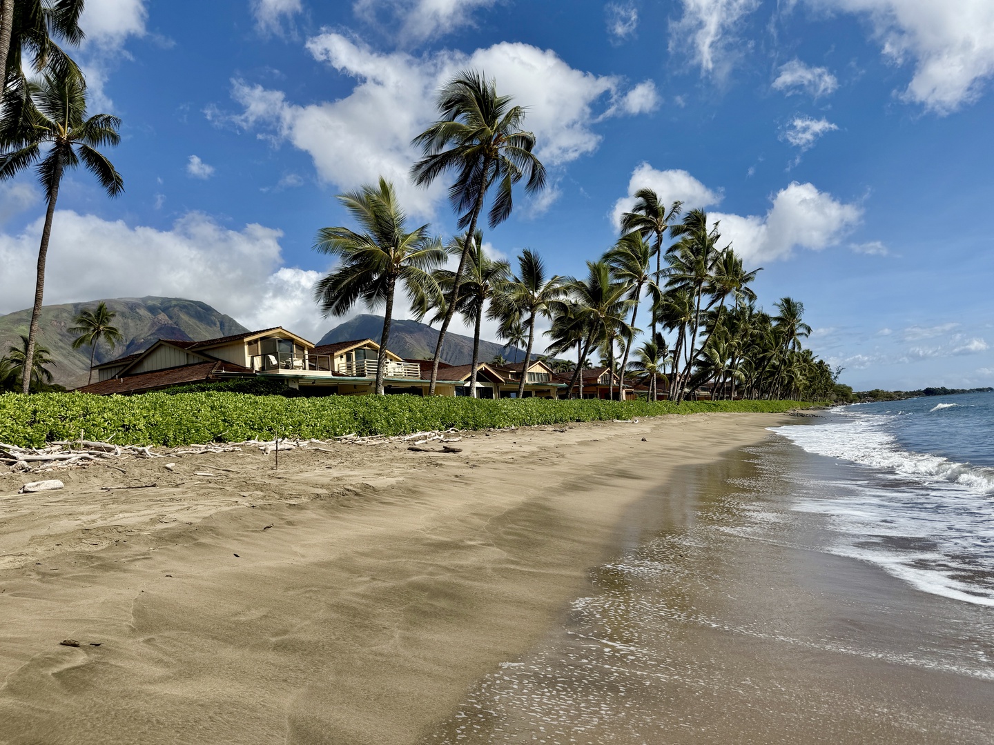 Lahaina Vacation Rentals, Puamana 254-2 - Quiet beach with gentle waves and swaying palms—a perfect spot for a stroll.