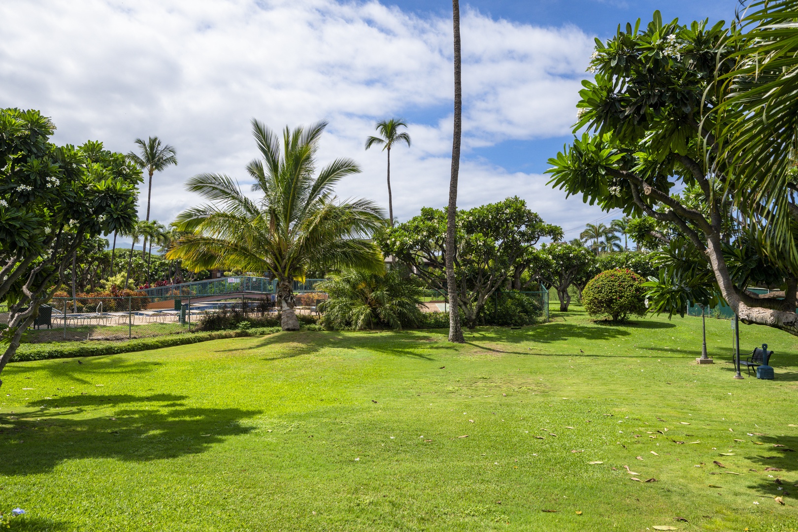 Kihei Vacation Rentals, Koa Resort 1B - Open lawn and tall palms just outside the lanai