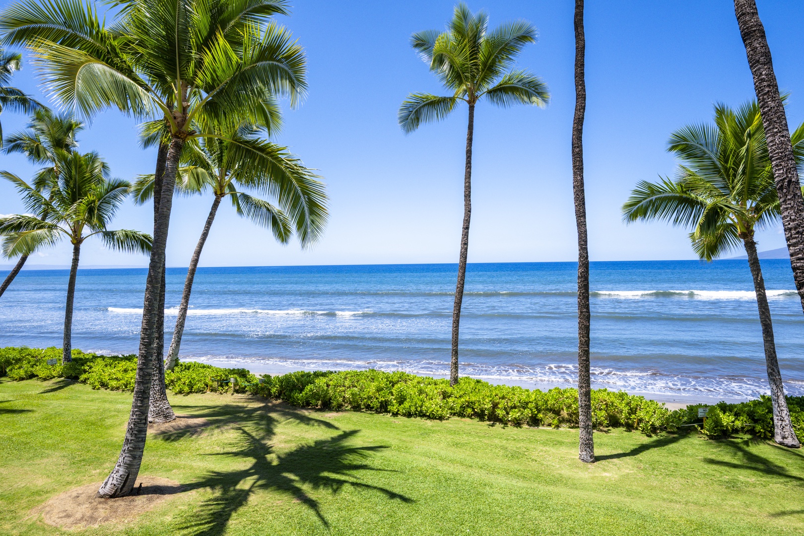 Lahaina Vacation Rentals, Puamana 240-3 - Enjoy unobstructed ocean views framed by coconut palms—a stunning backdrop for peaceful afternoons.