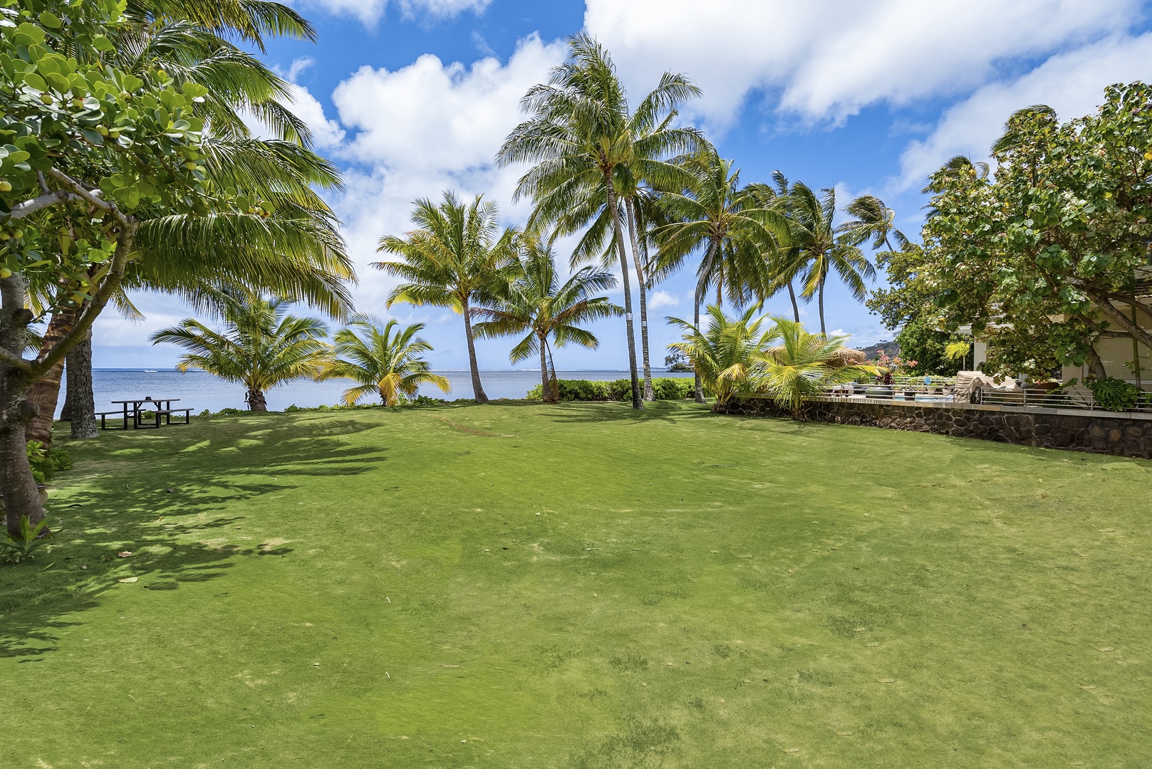 Honolulu Vacation Rentals, Honolulu Beachfront Retreat - Spacious beachfront yard framed by swaying palm trees and tropical greenery.