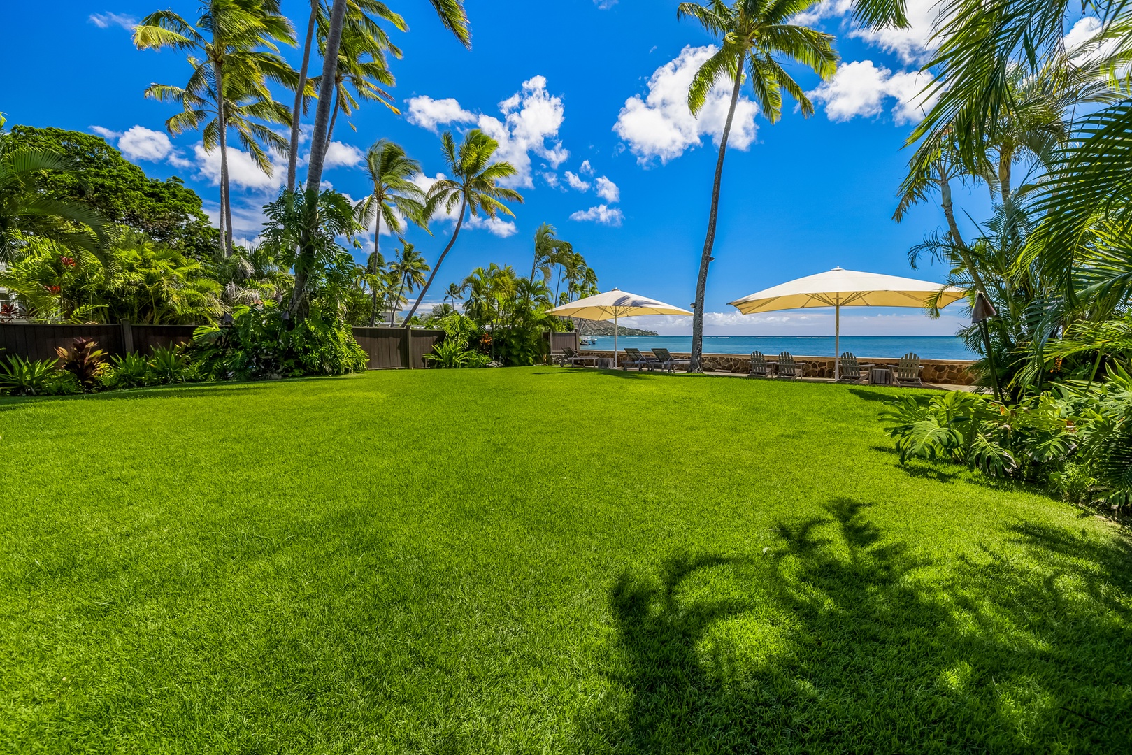 Honolulu Vacation Rentals, Moana Lani - Main House - Shade under the palms, with the rest of the lawn wide open in the sun.