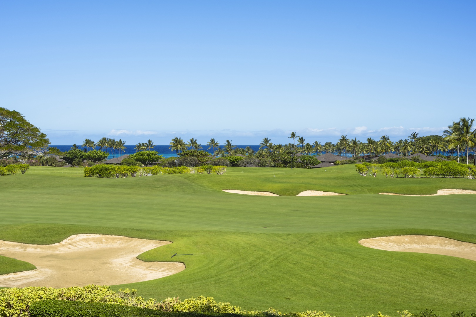 Kailua Kona Vacation Rentals, 3BD Palm Villa (130B) at Hualalai Resort - Championship golf course with ocean view setting, featuring manicured fairways, sand bunkers, and tropical palm trees along the coastline.