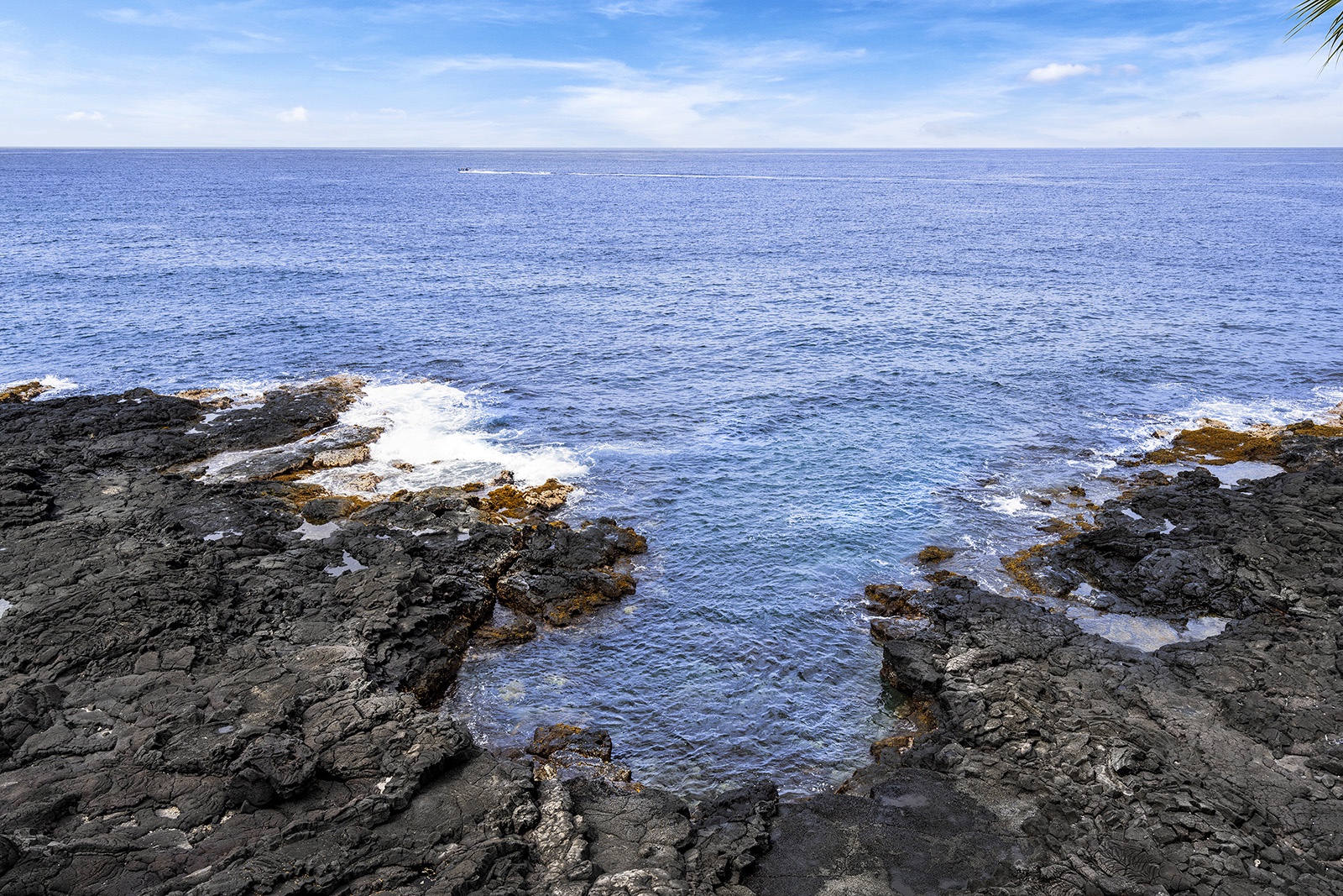 Kailua Kona Vacation Rentals, Kona Makai 6301 - Ocean access for experienced activists