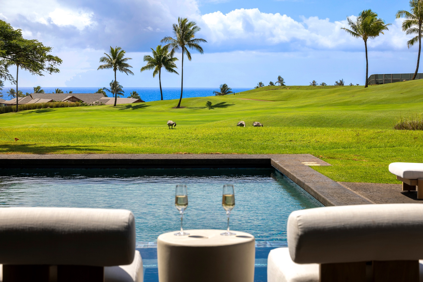 Koloa Vacation Rentals, Hale o ka Nene - Toast to unforgettable days poolside, surrounded by swaying palms and endless island skies.