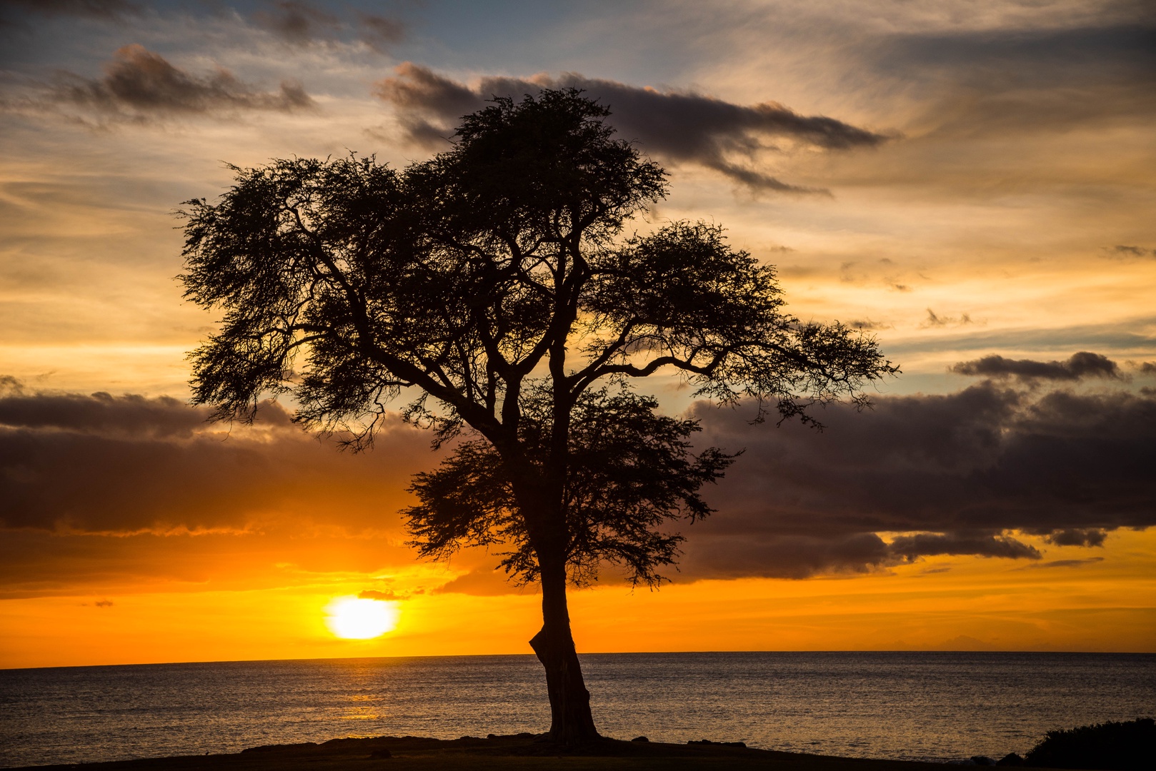 Kapolei Vacation Rentals, Coconut Plantation 1194-3 - Golden sunsets in Hawaii.