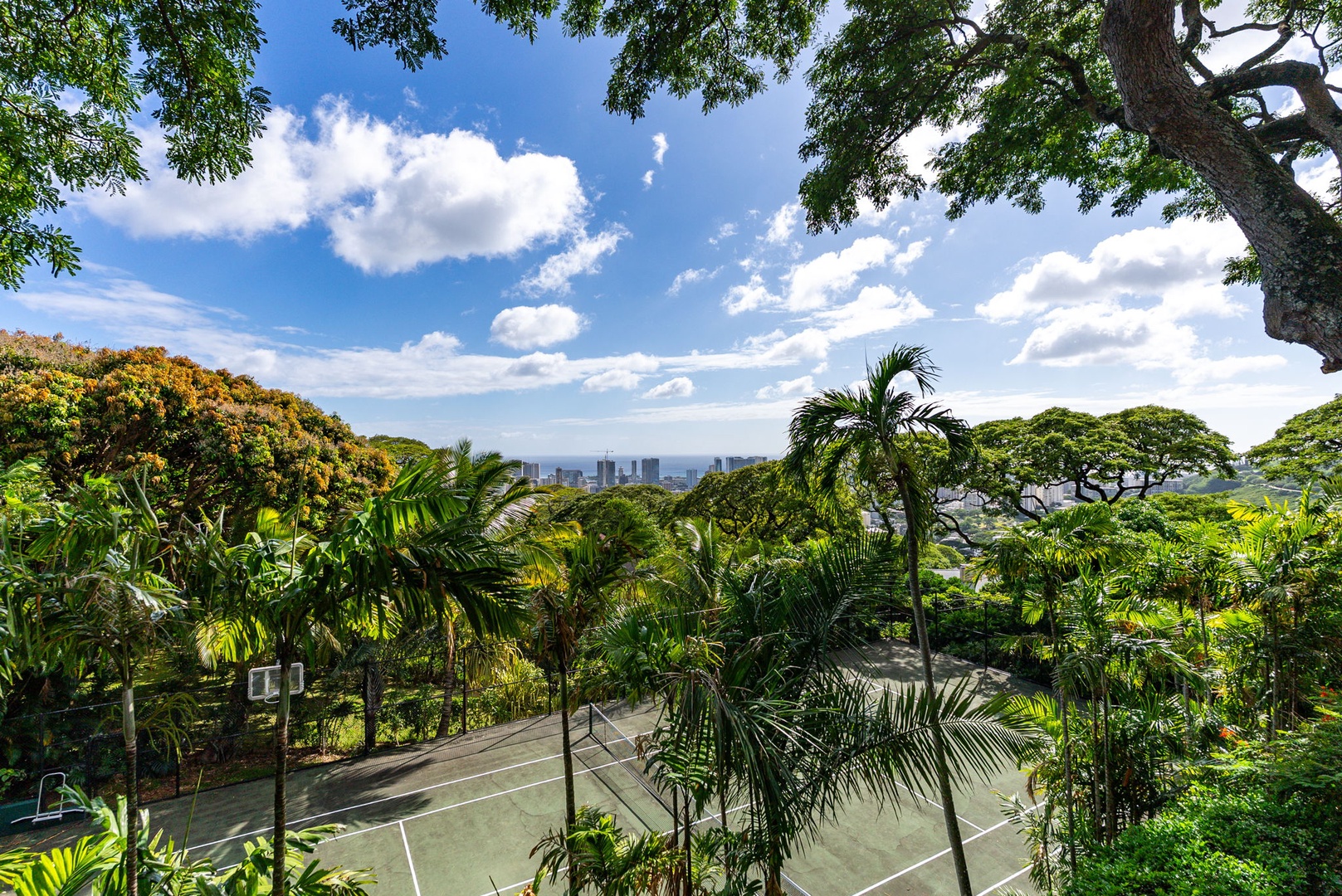 Honolulu Vacation Rentals, Tantalus Glass House - Enjoy views over the tennis and pickle ball courts and surrounding palms, with full access included during your stay for a fun and active experience.