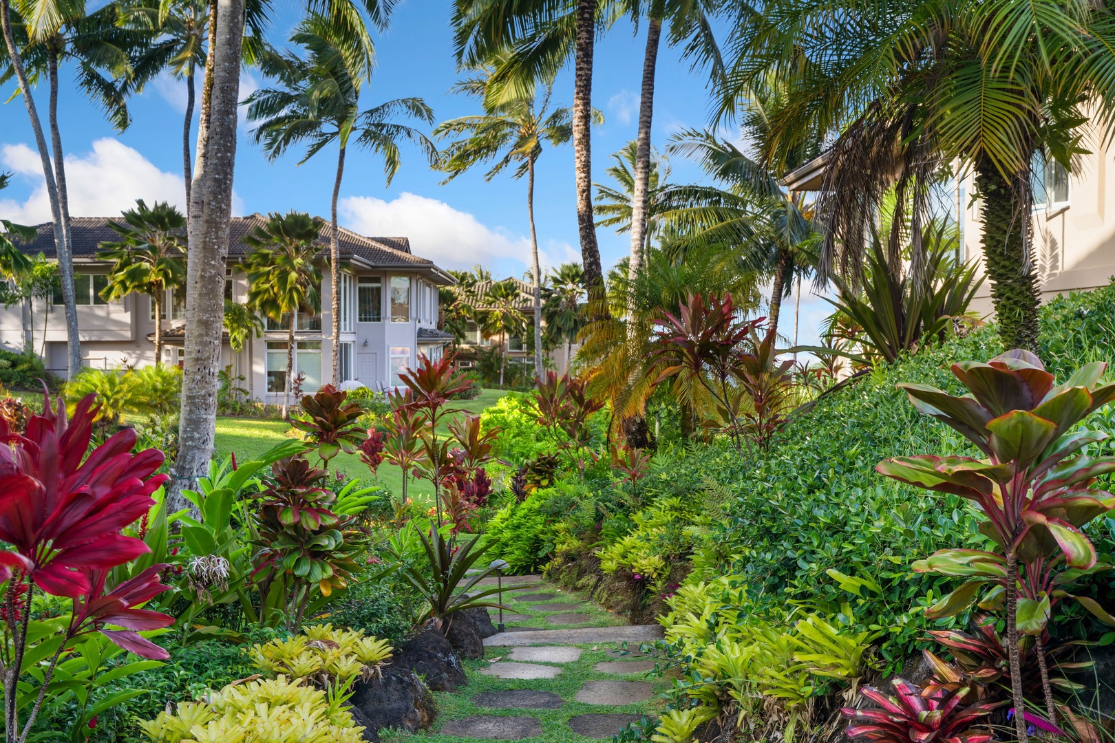 Princeville Vacation Rentals, Noelani Kai - Tall palm trunks line the walking path, orange ti plants filling in below.