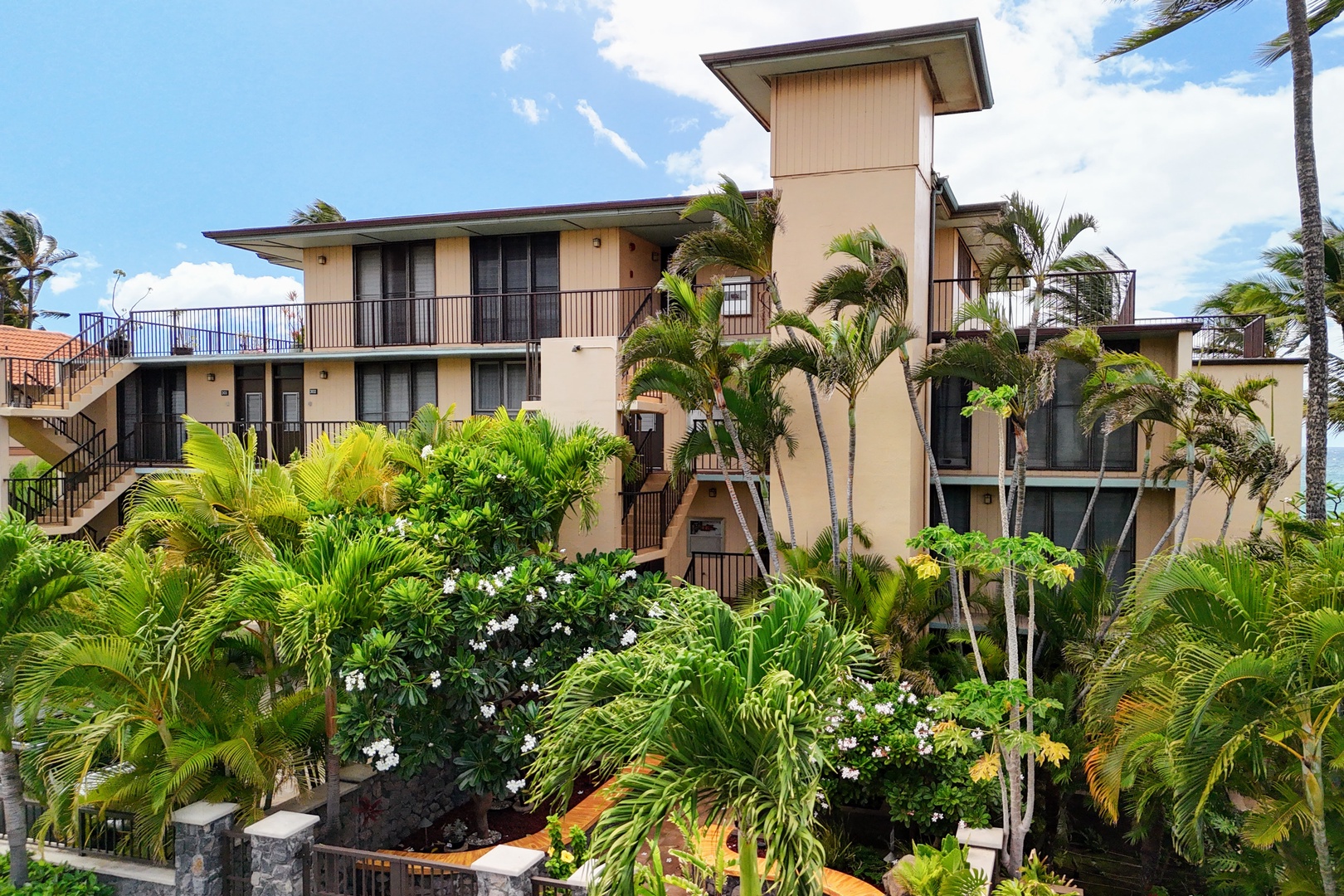 Kihei Vacation Rentals, Punahoa Beach 205 - Tropical gardens and blooming plumeria wrap the walk in.