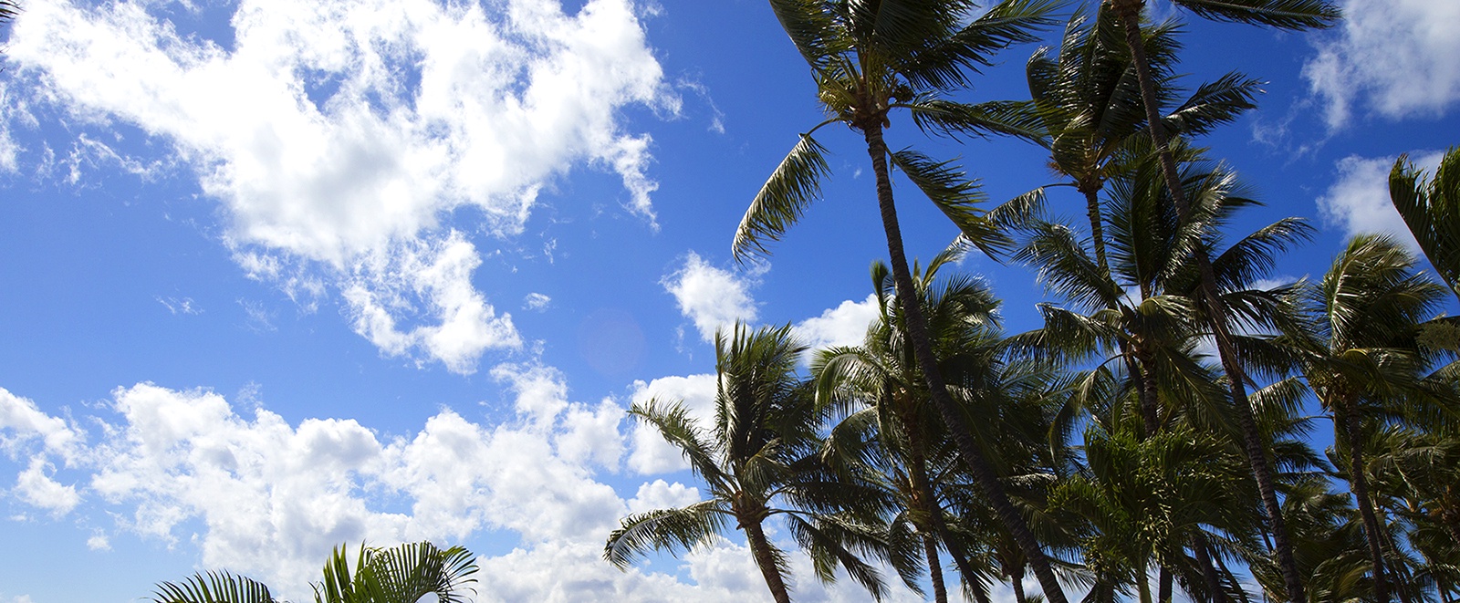 Lahaina Vacation Rentals, Blue Sky Villa* - Lahaina Villa View – Longhi