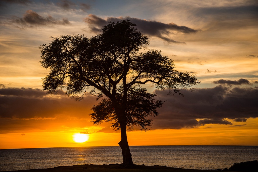 Kapolei Vacation Rentals, Ko Olina Kai Estate #17 - Island sunsets over the ocean.