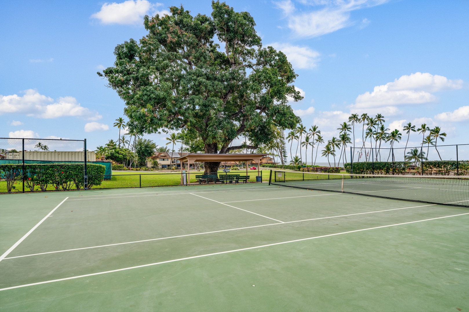 Lahaina Vacation Rentals, Puamana 254-2 - The tennis court at Puamana Resort offers a great spot for active fun amid tropical surroundings.