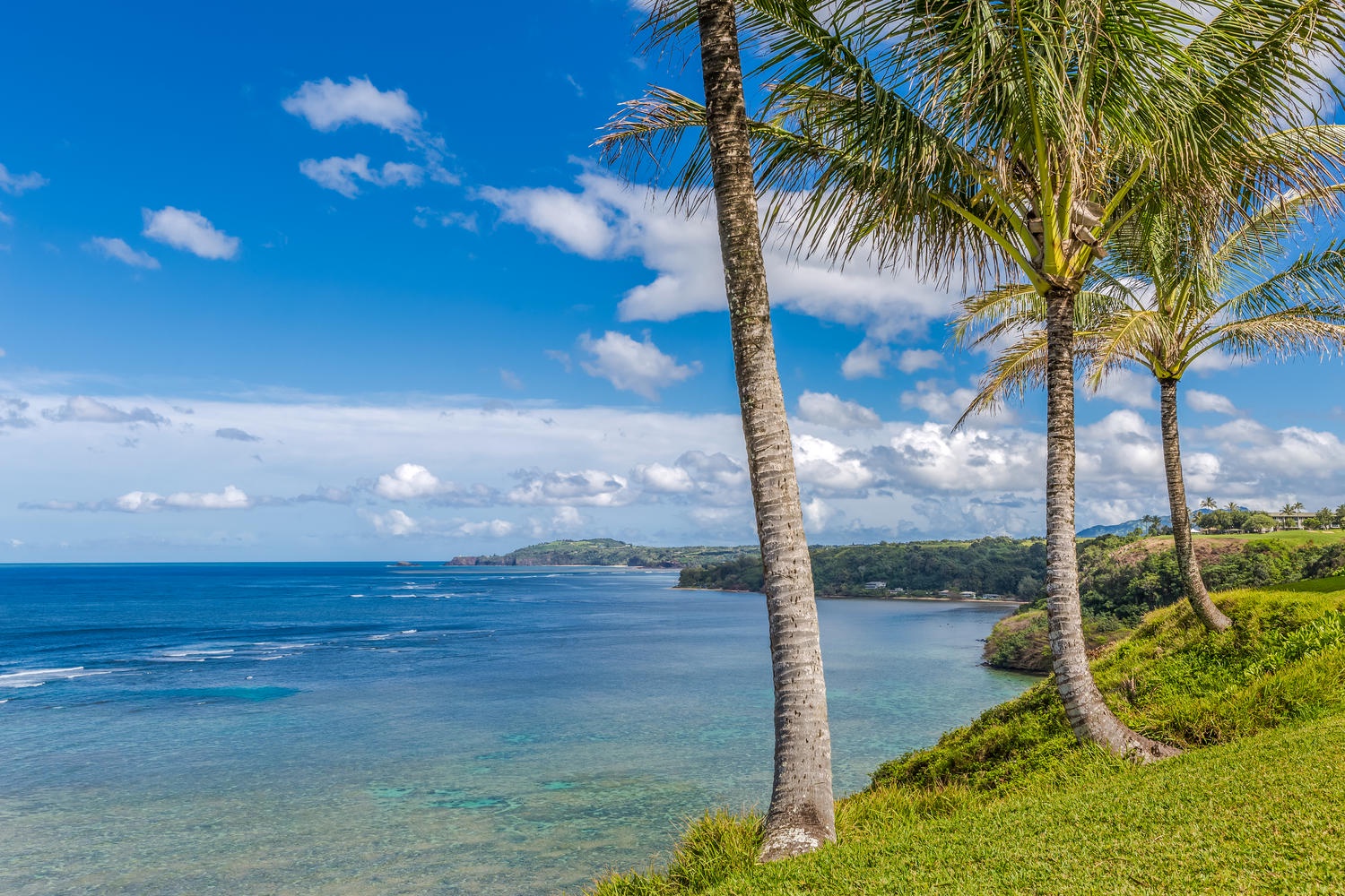 Princeville Vacation Rentals, Ola Hou - Main House - A scenic coastal view with swaying palm trees and clear waters.