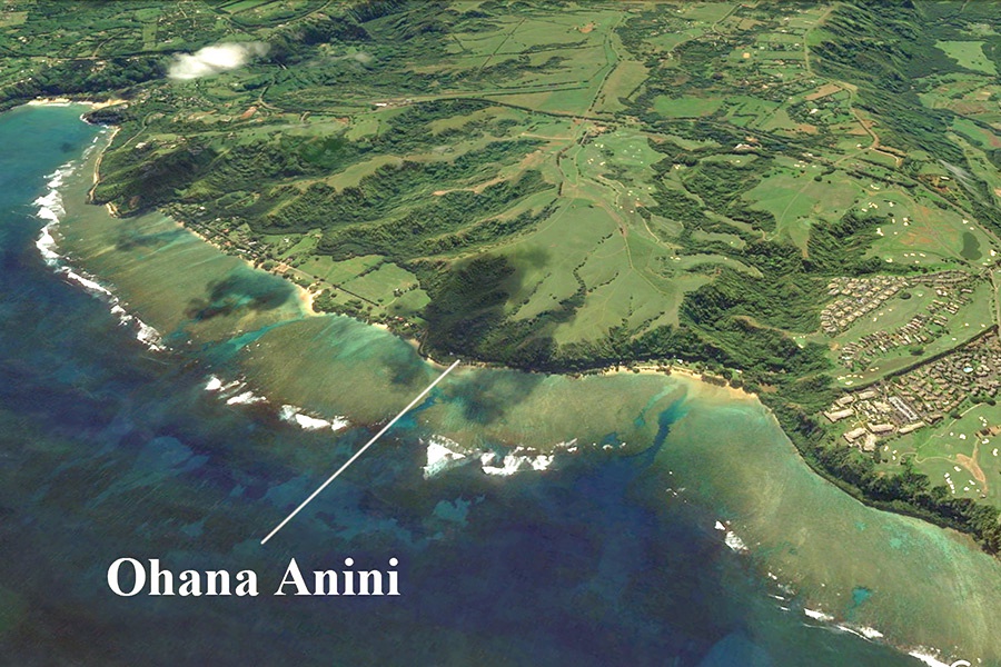 Kilauea Vacation Rentals, Ohana Anini TVR # 5078* - 