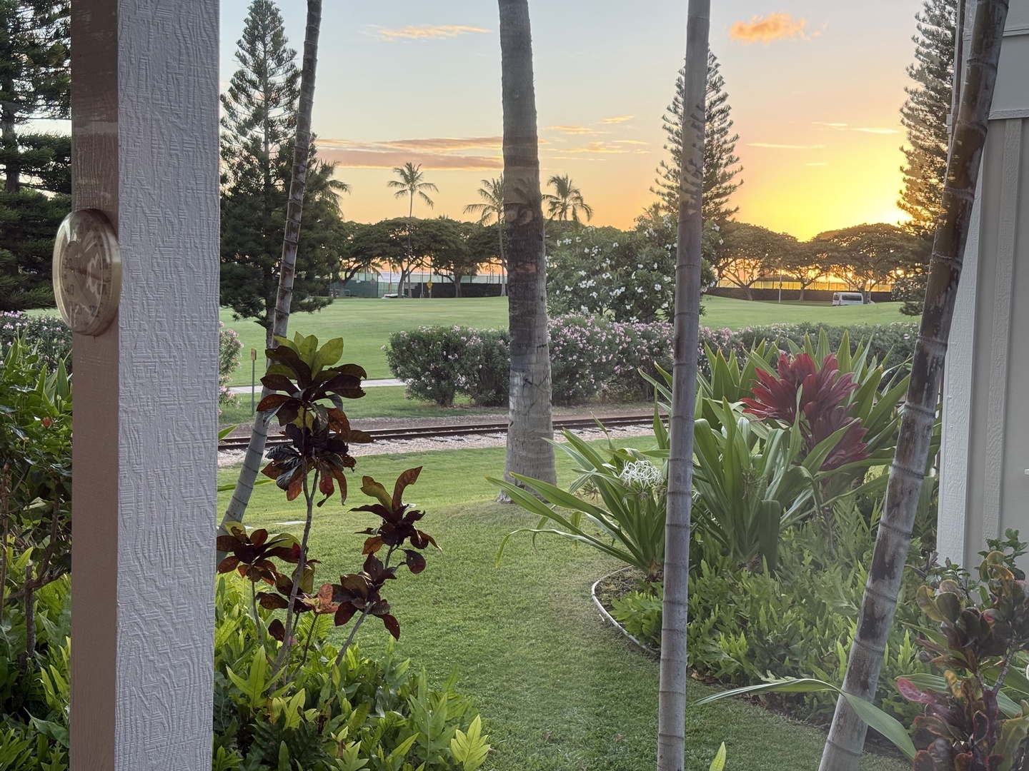 Kapolei Vacation Rentals, Coconut Plantation 1080-4 - Between the palm trunks, the sunset lines up right over the open lawn.