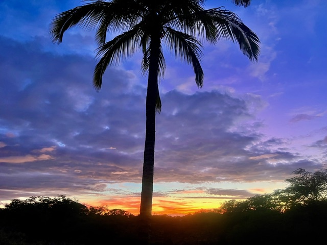 Mauna Lani Fairways #603