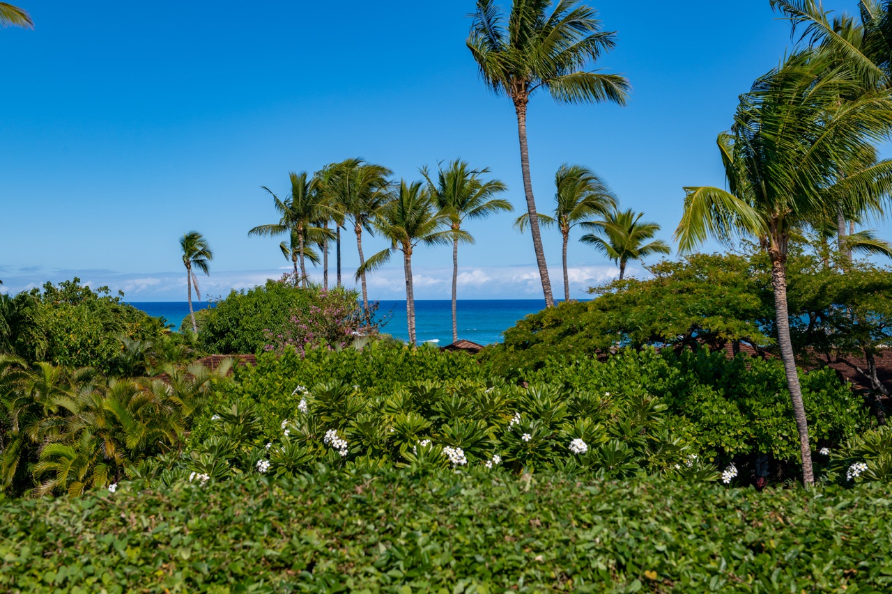 Kailua Kona Vacation Rentals, 2BD Hillside Villa (4102) at Hualalai Resort - Enjoy the tropical palm views.