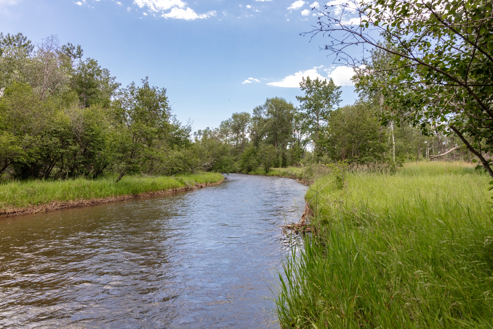 Bozeman Vacation Rentals, The Woodland Oasis - Near the river