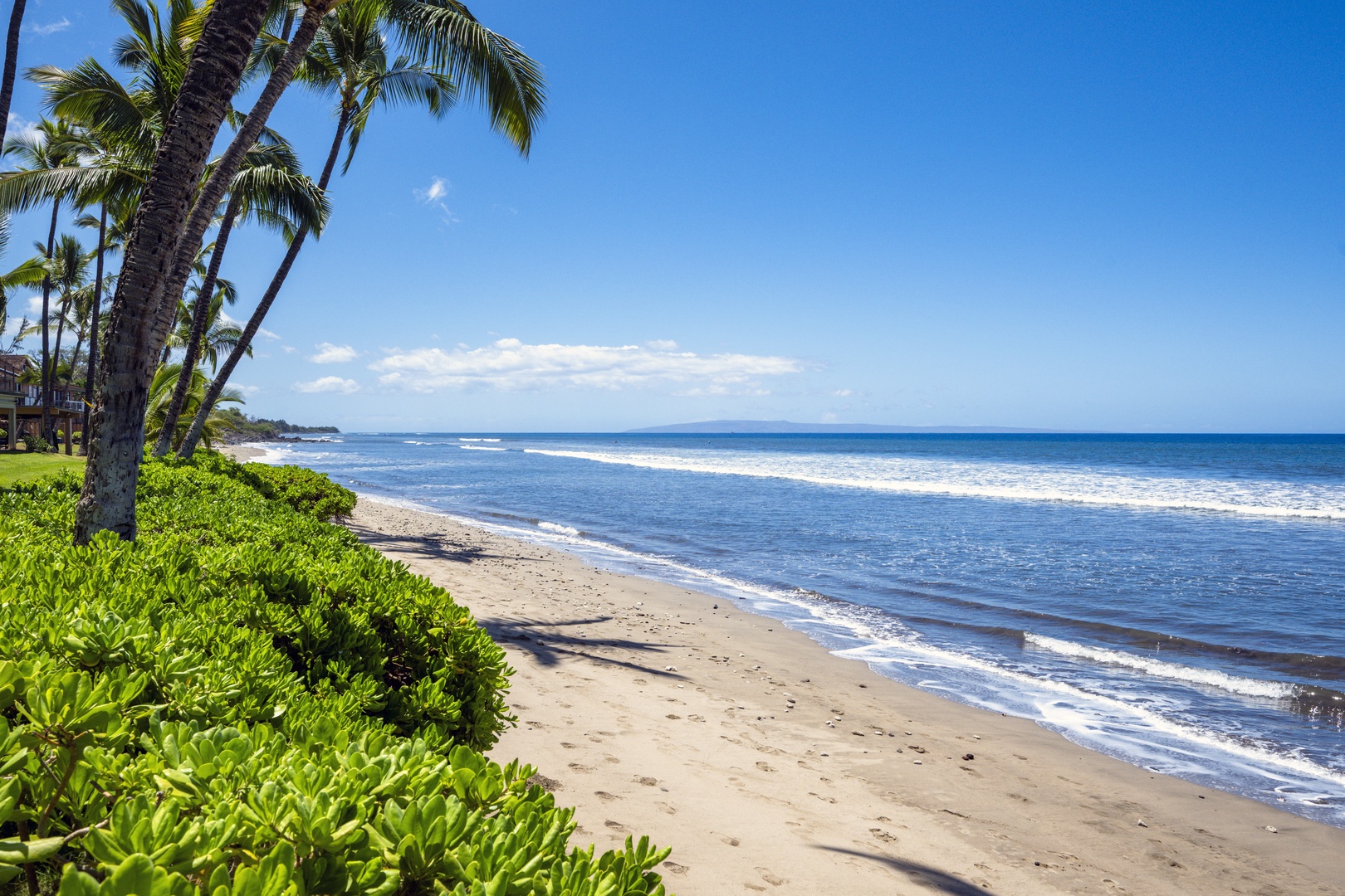 Lahaina Vacation Rentals, Puamana 240-3 - Take in the palm-lined coastline and sparkling ocean vistas from the backyard.